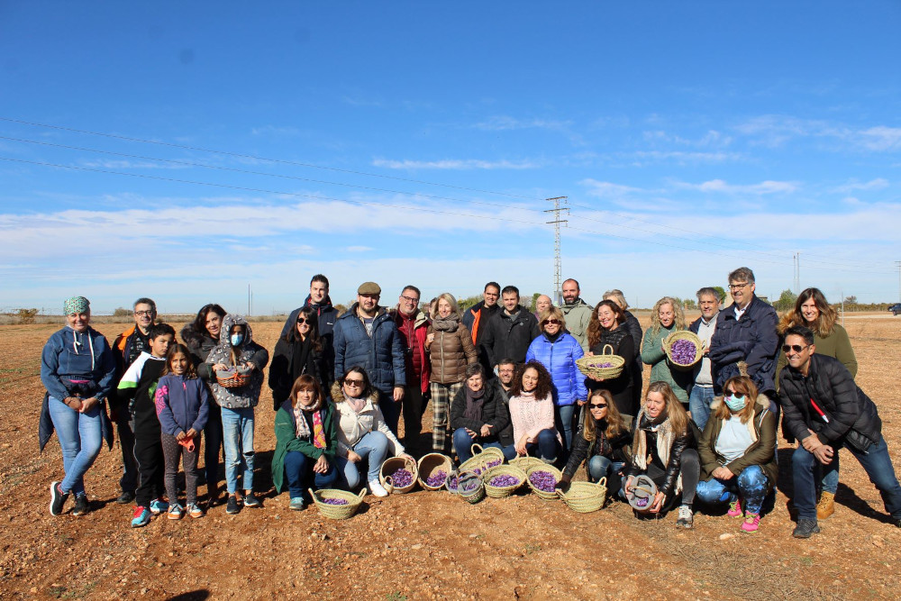 La DOP Azafrán de La Mancha cierra con éxito el curso “Conoce el Azafrán de La Mancha”, tres días de formación intensiva en torno a la especia